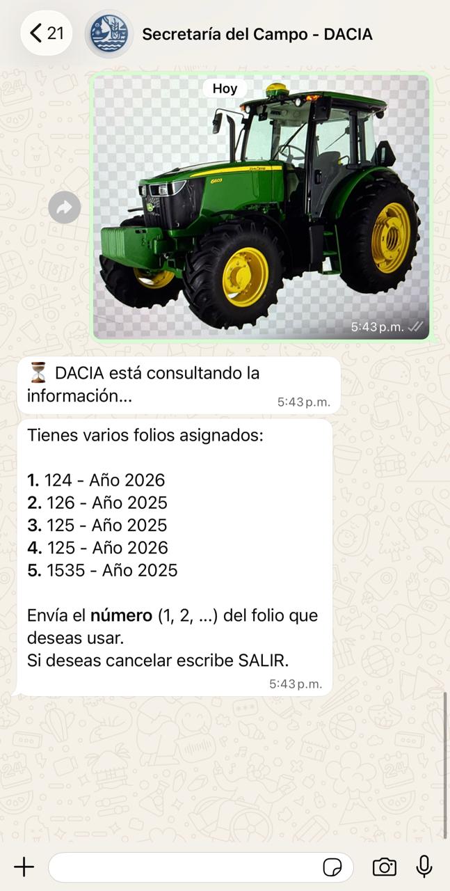 Validación visual de apoyos gubernamentales